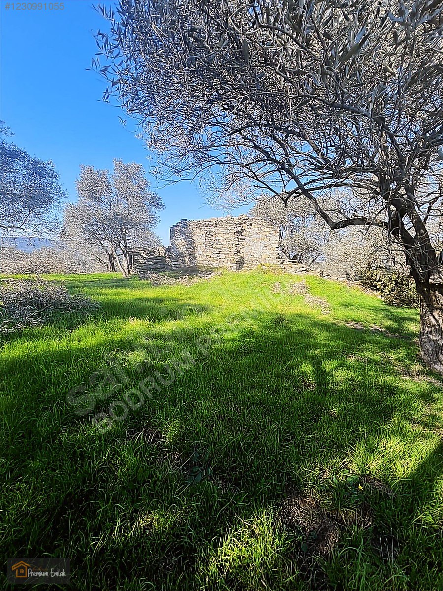 MİLAS KARACAHİSARDA KÖY İÇİ KAĞİR EV VE 980 M2 ARSASI - MUĞLA MİLAS fotoğraf 7