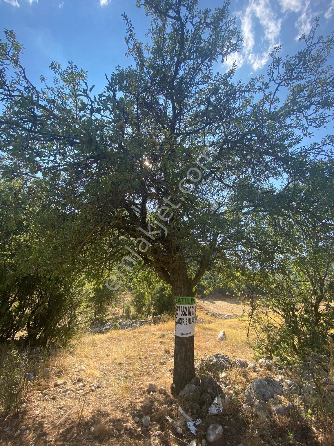 Burdur Ağlasun Hisarköy Satılık Yatırımlık Arazi 📌çakır Emlak - BURDUR AĞLASUN fotoğraf 10