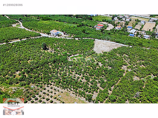 SAKARYA KARASU'DA SATILIK FRSAT KÖY İÇİNDE 635 metre² KUPON ARSA - SAKARYA KARASU fotoğraf 29