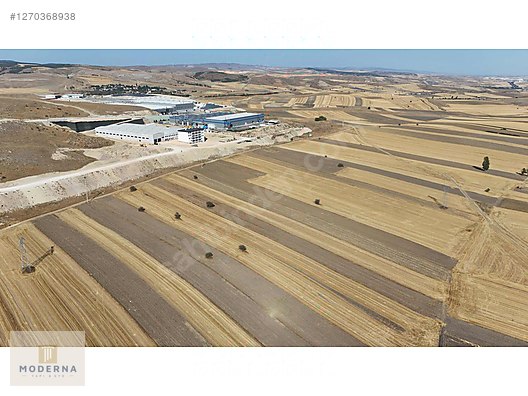 BİLECİK BOZÜYÜK OSB YANI POYRA'DA 5.316 M2 YATIRIM FIRSATI. - BİLECİK BOZÜYÜK fotoğraf 13