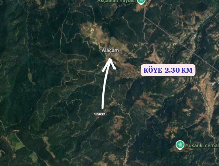 BALIKESİR DURSUNBEY ALAÇAM  KÖYÜNDE 1.502 M² TARLA SATILIKTIR - BALIKESİR DURSUNBEY fotoğraf 4