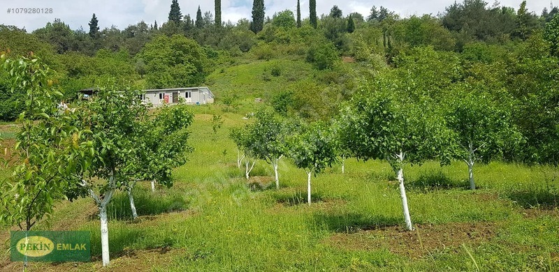 PEKİN EMLAKTAN İZMİT TE SATILIK ARAZİ - KOCAELİ İZMİT fotoğraf 6