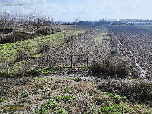 ŞEHİR MERKEZİ YAKININDA KARAKÖYDE SATILIK ARAZİ 4 DÖNÜM - SAKARYA ADAPAZARI fotoğraf 14