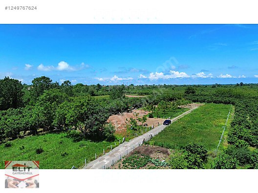 KARASU KUYUMCULUDA SATILIK 463 M2 FIRSAT ARSA - SAKARYA KARASU fotoğraf 22
