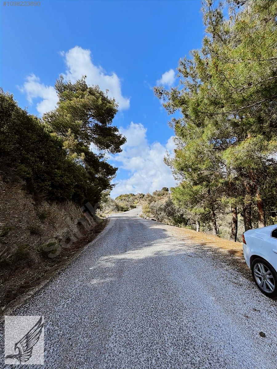 BEYLER KÖYÜNDE 1.790M2 100 METRE YOL CEPHELİ ZEYTİNLİK - İZMİR SEFERİHİSAR fotoğraf 6