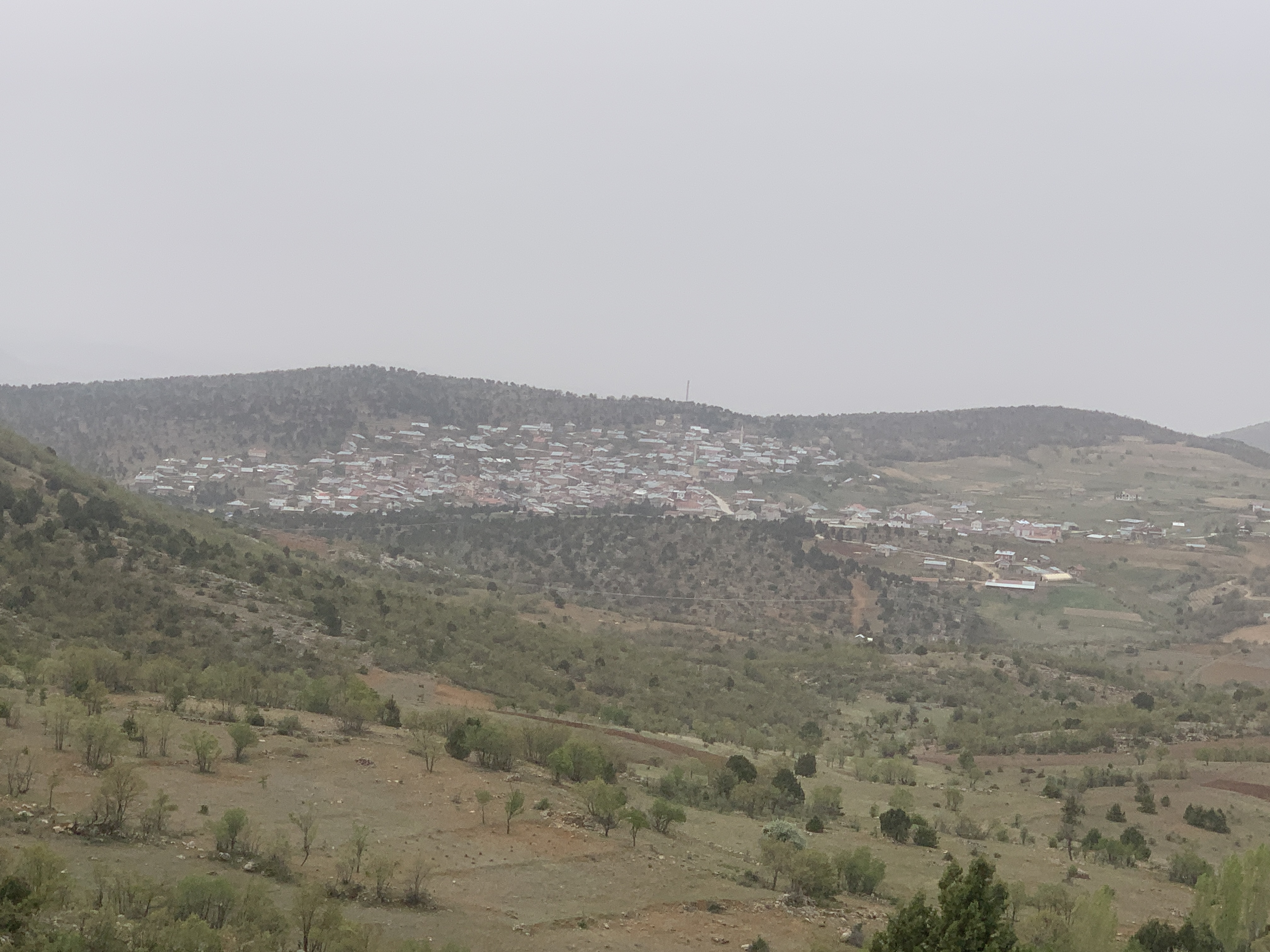 KONYA BOZKIR HAMZALAR KÖYÜNDE 1.443 M2 BAĞ SATILIKTIR. - KONYA BOZKIR fotoğraf 15