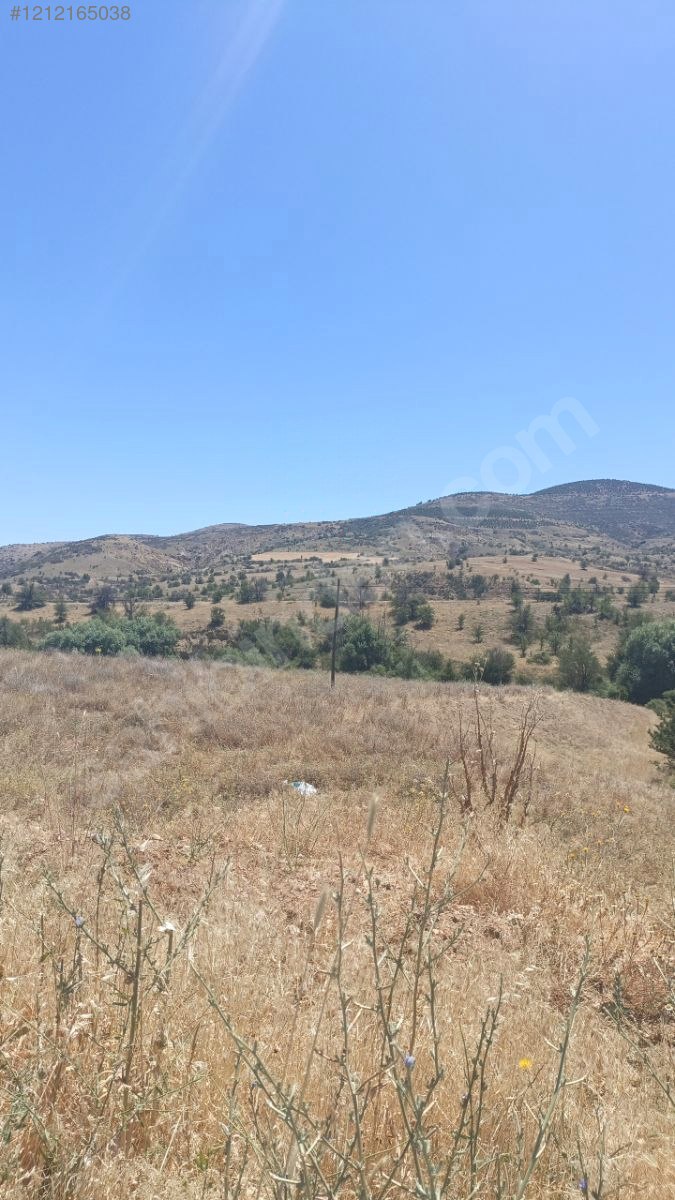 DENİZLİ ÇİVRİL BAYAT  KÖYÜNDE 2.940 M² TARLA SATILIKTIR - DENİZLİ ÇİVRİL fotoğraf 3