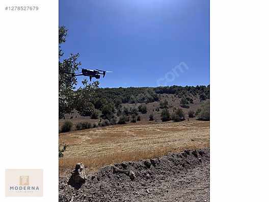 ESKİŞEHİR SEYİTGAZİ RESMİ YOLA VE ORMANA CEPHE 3357 M2 TEK TAPU - ESKİŞEHİR SEYİTGAZİ fotoğraf 9