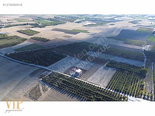 VİP GAYRİMENKUL'den BAYRALAR MAH. 29.648 m² ELMA-ARMUT BAHÇESİ - ANTALYA ELMALI fotoğraf 16