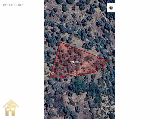 EFELER GAYRİMENKUL Bahçearası Çamlık Mevkii 1.329 m² ZEYTİNLİK - AYDIN ÇİNE fotoğraf 2