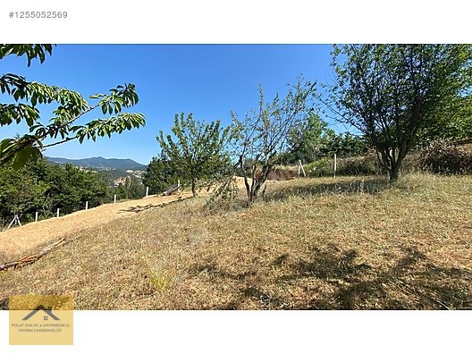 GEYVE DEMİRLER MAHLESİ - SAKARYA GEYVE fotoğraf 3