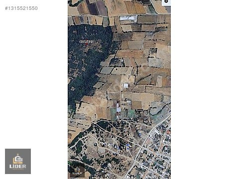 BİGA DA SATILIK MÜSTAKİL BAĞ YERİ - ÇANAKKALE BİGA fotoğraf 3