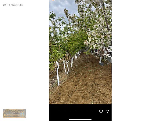 TOPAKKAYA MEDENİ BÖLGESİNDE HAZIR KURULU 700 M2 BAHÇE VE ARSASI - AKSARAY MERKEZ fotoğraf 8