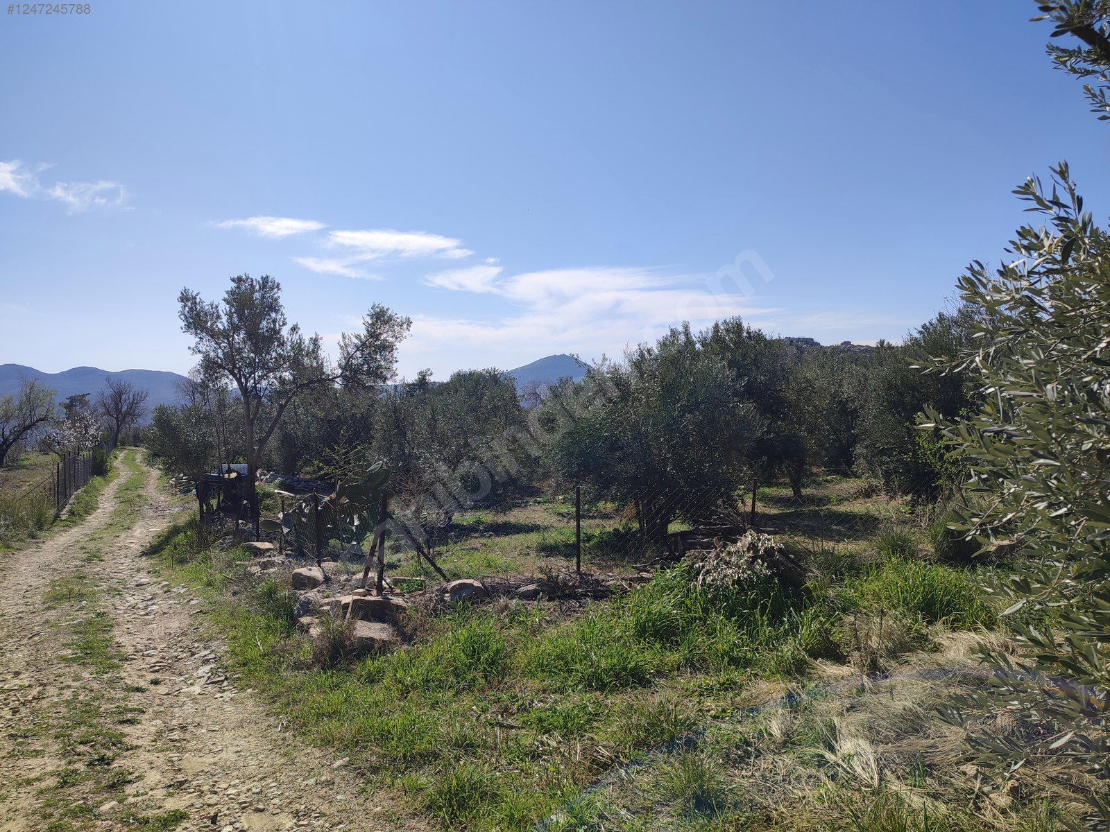 Antalya / Manavgat / Yaylaalan Mahallesinde 840 m² SATILIK TARSA  - ANTALYA MANAVGAT fotoğraf 7