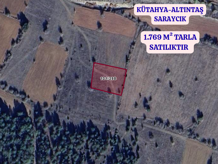 KÜTAHYA ALTINTAŞ SARAYCIK  KÖYÜNDE 1.769 M² TARLA SATILIKTIR - KÜTAHYA ALTINTAŞ fotoğraf 2