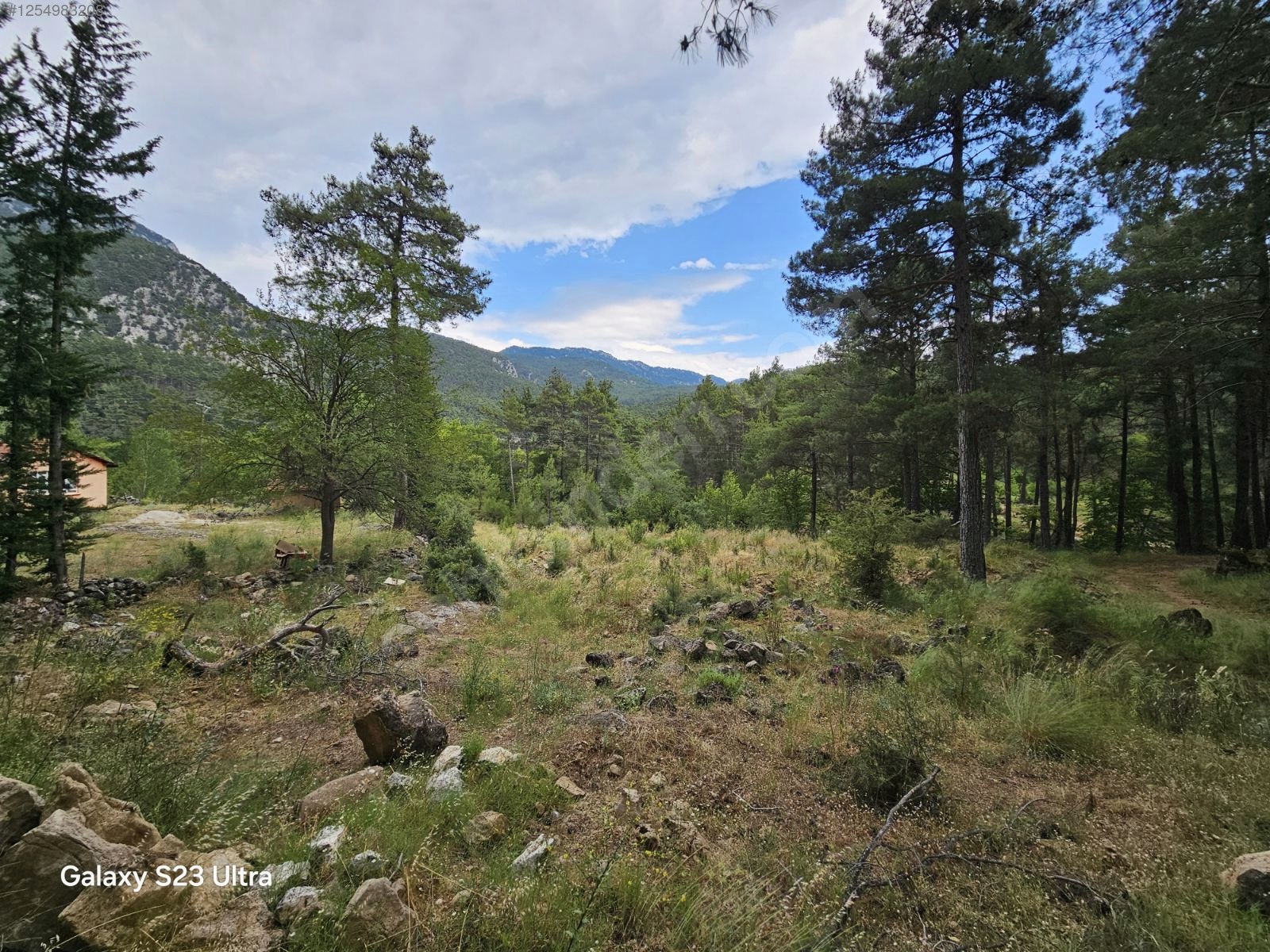 Dere Kenarı Tek Hisse Antalya / Serik / Demirciler Mahallesinde 1.727 m² SATILIK - ANTALYA SERİK fotoğraf 5