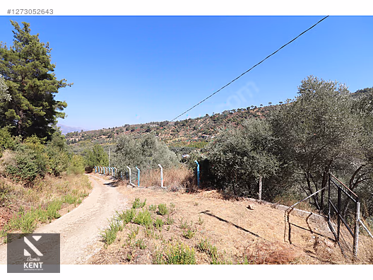 Kemalpaşa Aşağıkızılca Satılık 4536 m2 Bahçe - İZMİR KEMALPAŞA fotoğraf 21