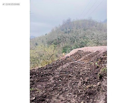 ESPİYE KAŞDİBİ KÖYÜ 4,5 DÖNÜM MANDIRA YERİ EŞILMIŞ - GİRESUN ESPİYE fotoğraf 2