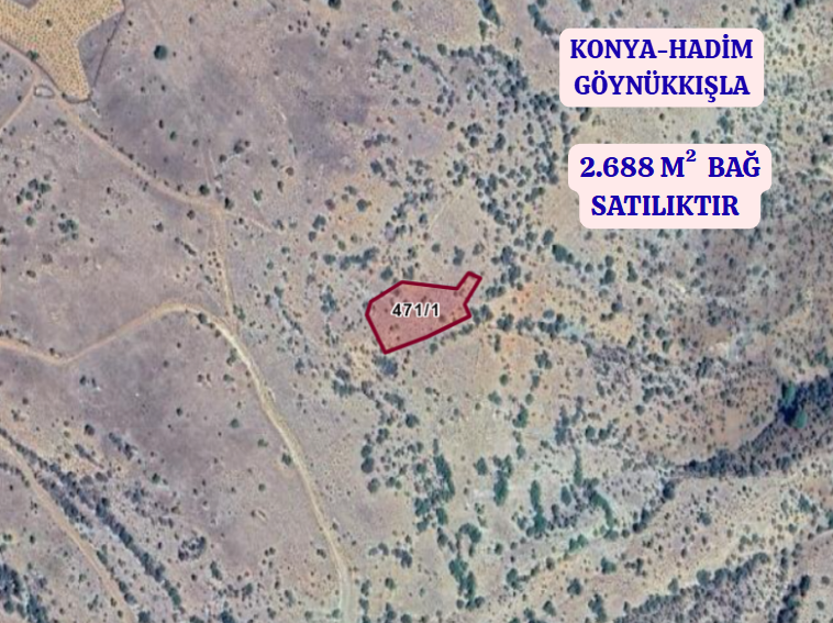 KONYA HADİM GÖYNÜKKIŞLA    KÖYÜNDE 2.688  M²  BAĞ  SATILIKTIR - KONYA HADİM fotoğraf 2