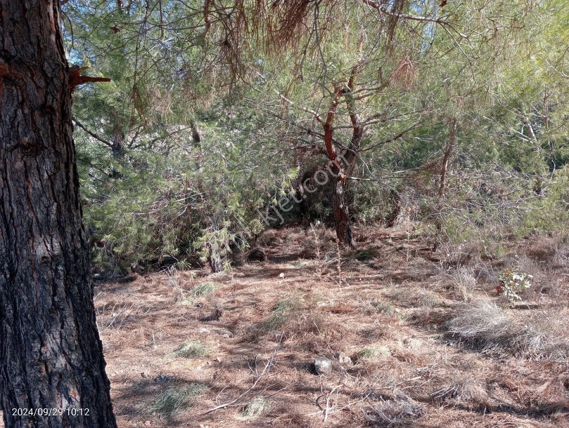 Antalya Kumluca Mavikent'te Satılık Arsa İnceoğlu Emlak - ANTALYA KUMLUCA fotoğraf 10