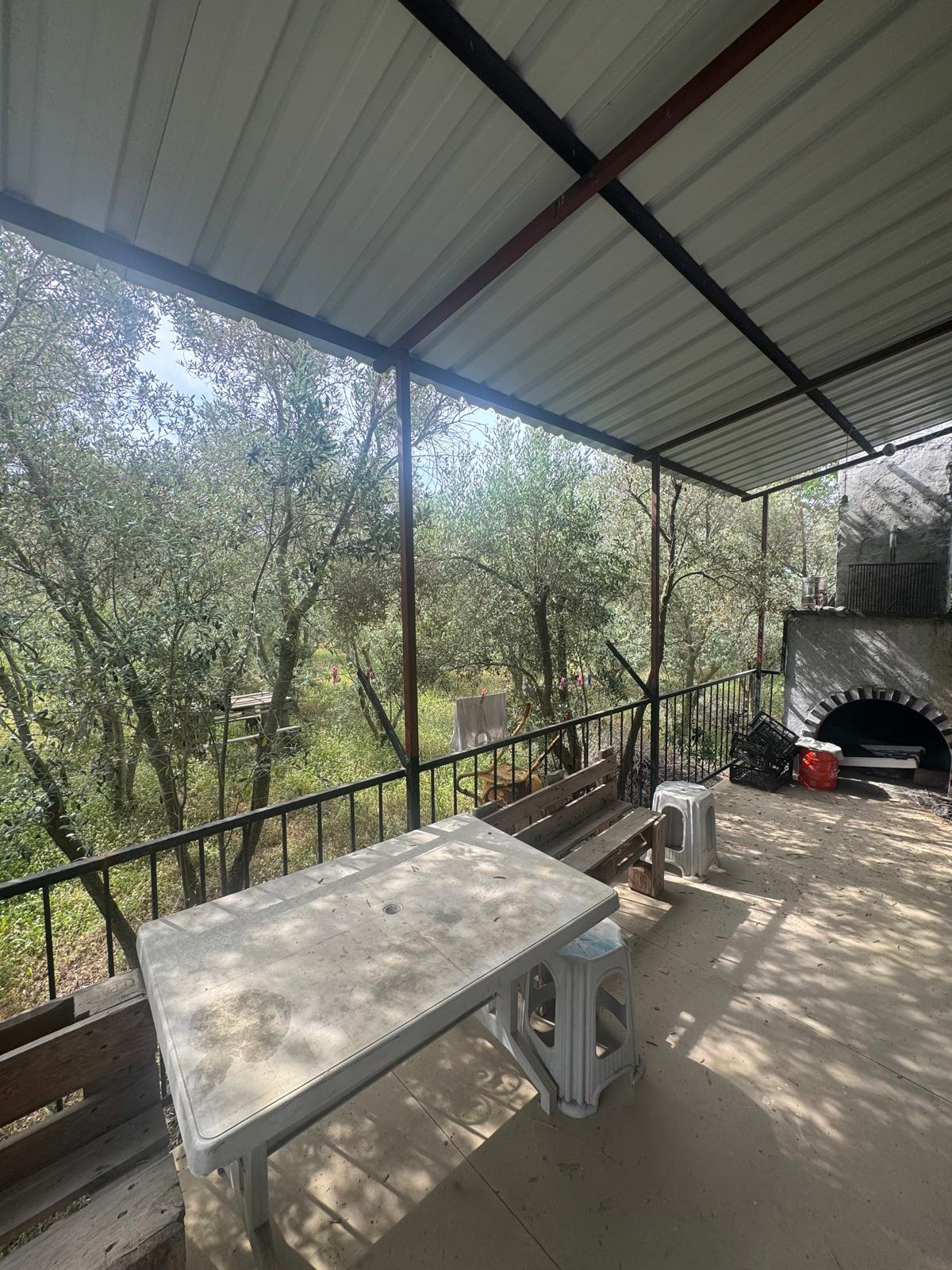 Zeytin ve meyve bahçesi 1+1 prefabrik daire - MUĞLA SEYDİKEMER fotoğraf 4
