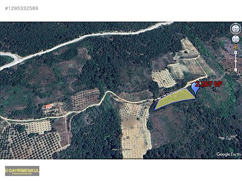 Bilecik Söğüt'te 10.654 m² Satılık Tarla - BİLECİK SÖĞÜT fotoğraf 2