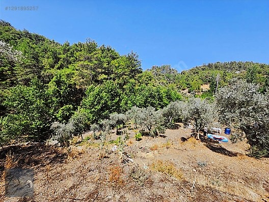 AHIRTAŞ'TA ORMANA SIFIR 4.065 m² TEK TAPU TARLA VE AHŞAP EV İLE - ANTALYA DÖŞEMEALTI fotoğraf 6
