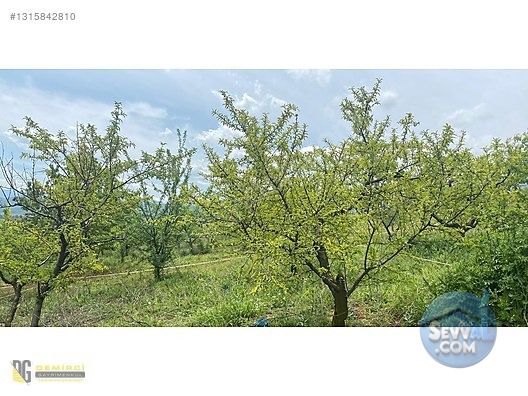 Bursa inegöl Akıncılar 200m² Hobi Bahçesi Aidatsız, Yolu su Var - BURSA İNEGÖL fotoğraf 11