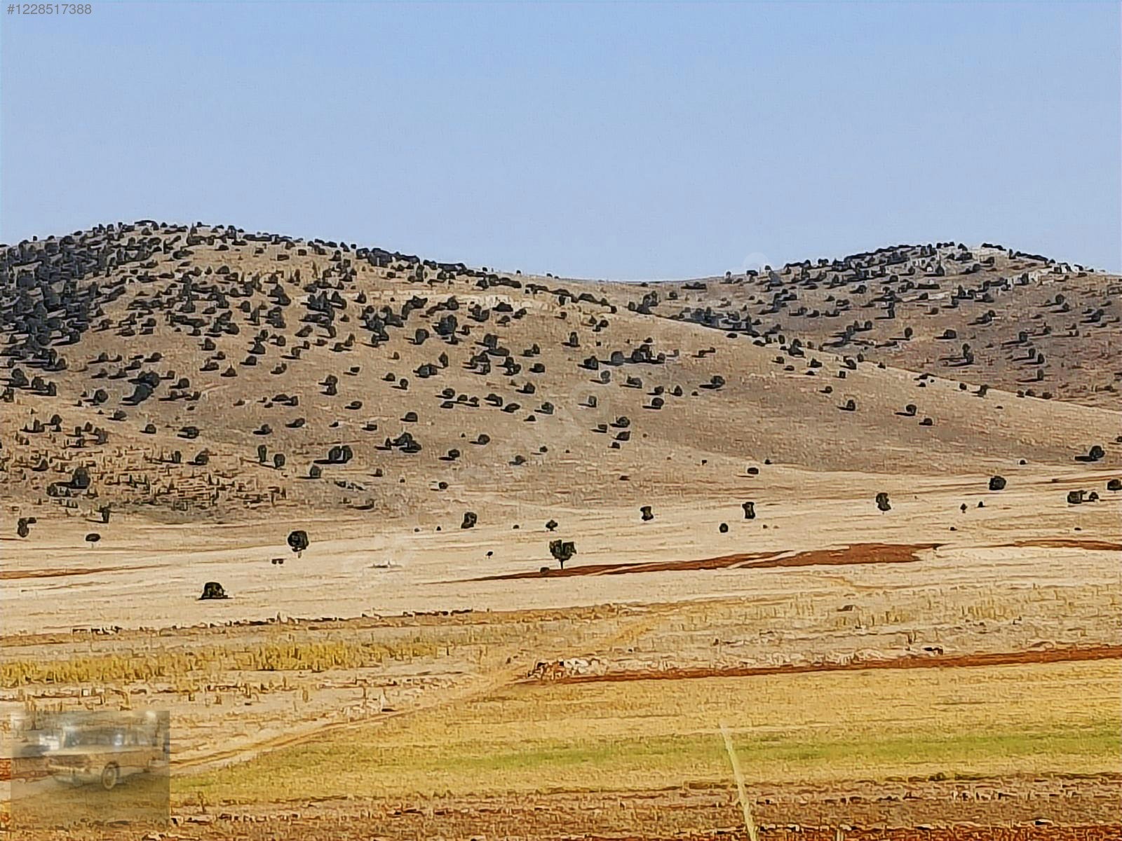 acil.Korkuteli sımandırda.sanayi arsalarına komşu2382m tarla - ANTALYA KORKUTELİ fotoğraf 18