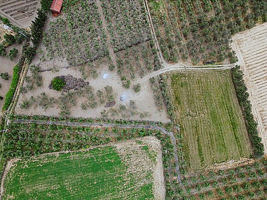 ARYA'DAN EDREMİT ÇIKRIKÇI'DA 5000 M2 TARLA - BALIKESİR EDREMİT fotoğraf 8