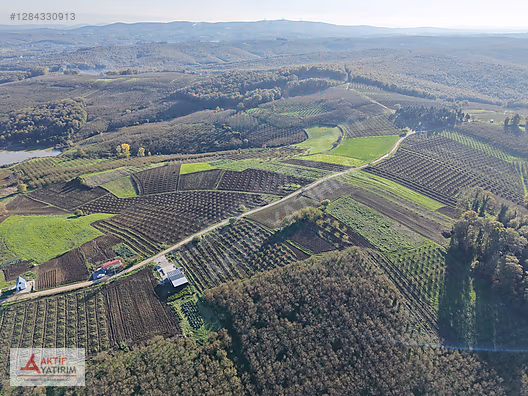 SAKARYA KAYNARCA CEBEK 2786 M2 KARE ORMANA CEPHELİ RESMİ YOLLU - SAKARYA KAYNARCA fotoğraf 13