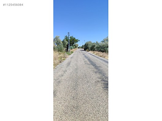ANKARA ELMADAĞ KUŞÇUALİ KÖYÜNDE 647 M² TARLAMIZ  SATILIKTIR - ANKARA ELMADAĞ fotoğraf 9