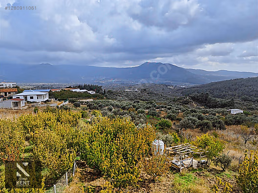 Kemalpaşa Vişneli Satılık 2920 m2 Dubleks Konut Ve Arsa - İZMİR KEMALPAŞA fotoğraf 16