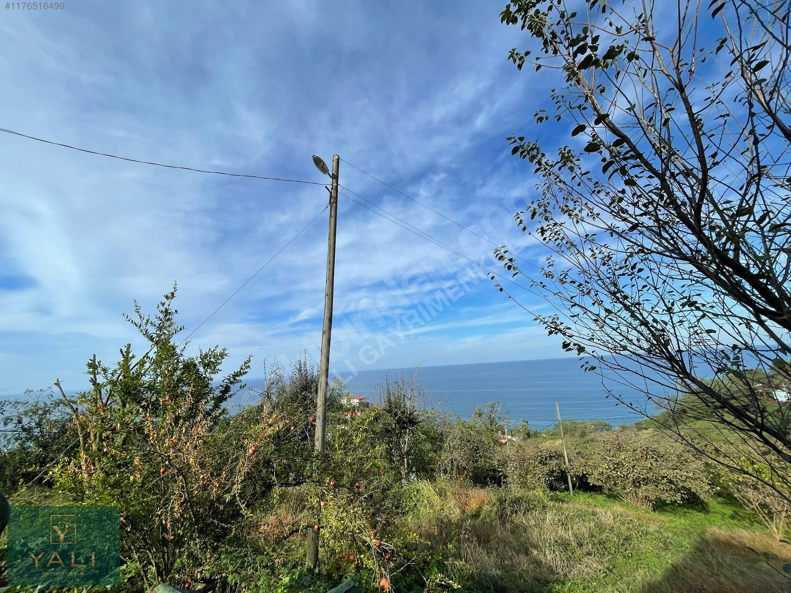 YALI GAYRİMENKUL | BURUNUCU/TALİPLİ'DE SATILIK 4'DÖNÜM ARSA - GİRESUN BULANCAK fotoğraf 2