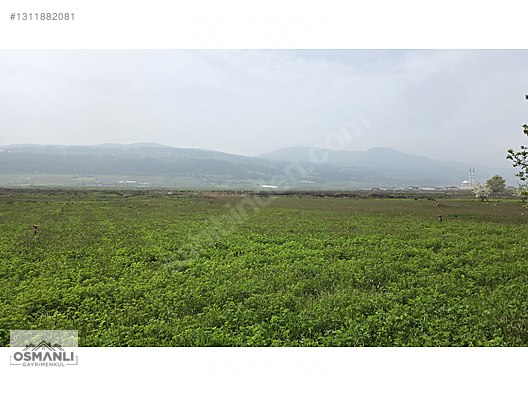 YEŞİLÇİMEN'DE SUYU YOLU OLAN ÇİFTLİK ARAZİSİ - BİLECİK OSMANELİ fotoğraf 2