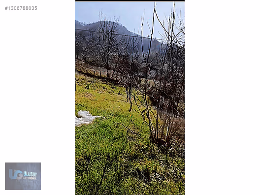 DAİRE FİYATINA BİNA VE ARSA - BARTIN MERKEZ fotoğraf 5