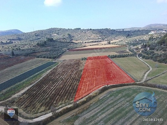 Kuşadası Değirmendere’de Satılık 12.400 m² Bağ, Zeytin ve Ceviz Bahçesi - AYDIN KUŞADASI fotoğraf 3