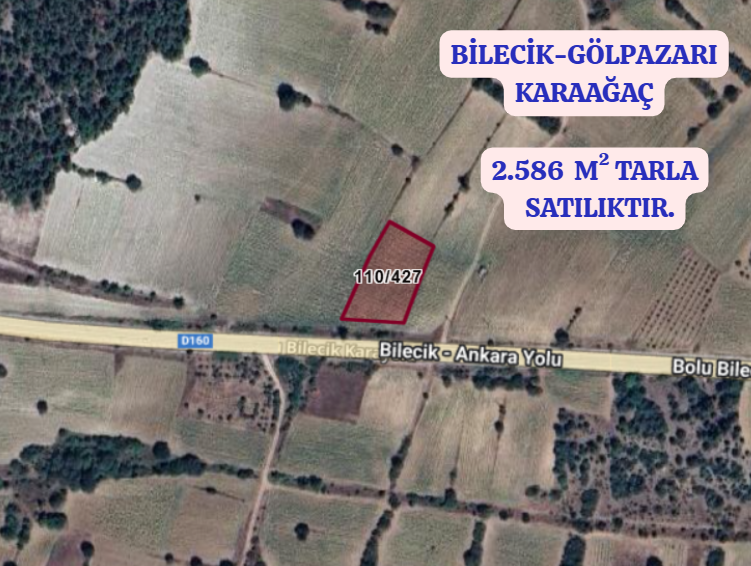 BİLECİK  GÖLPAZARI KARAAĞAÇ KÖYÜNDE 2.586  M² TARLA SATILIKTIR - BİLECİK GÖLPAZARI fotoğraf 2