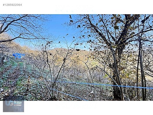 4,5 DÖNÜM FINDIK TARLASI - BARTIN MERKEZ fotoğraf 17