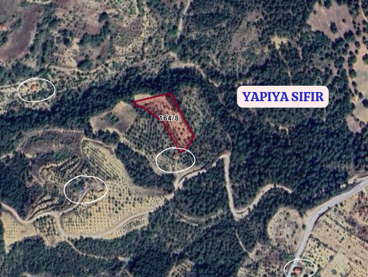 KÜTAHYA ŞAPHANE PAZAR  KÖYÜNDE   4.102 M²  BAHÇE  SATILIKTIR - KÜTAHYA ŞAPHANE fotoğraf 6