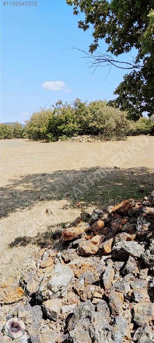 Kütahya merkez kozluca köyü nde satılık tarla - KÜTAHYA MERKEZ fotoğraf 17