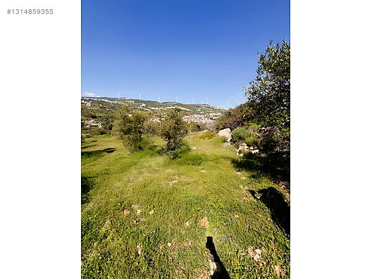 PANORAMİK MANZARALI YATIRIMLIK ZEYTİNLİK - HATAY YAYLADAĞI fotoğraf 12