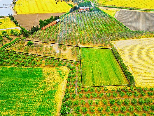 ARYA'DAN EDREMİT ÇIKRIKÇI'DA 5000 M2 TARLA - BALIKESİR EDREMİT fotoğraf 11