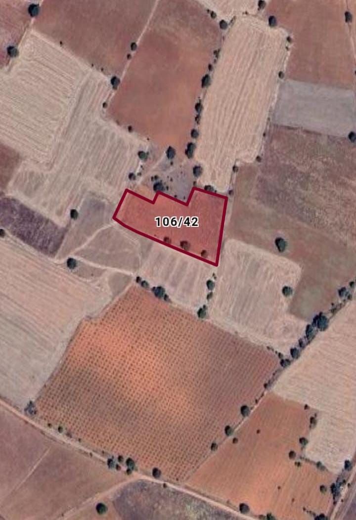 UŞAK KARAHALLI BUĞDAYLI MAH.4.568M² TARLA SATILIKTIR - UŞAK KARAHALLI fotoğraf 2