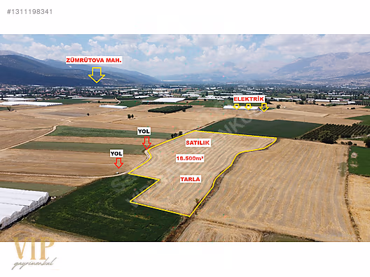 VİP GAYRİMENKUL'den ZÜMRÜTOVA MAH. 18.500m² TARLA - ANTALYA ELMALI fotoğraf 2
