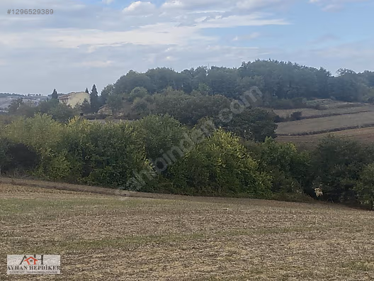 KOCAELİ ARAMAN DA ADAPAZARI KANDIRA YOLUNA CEPHELİ 3506 M2 TARLA - KOCAELİ KANDIRA fotoğraf 43