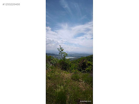 BURSA MUDANYA KAYMAKOBA KÖYÜNDE 537 M TARLA SATILIKTIR - BURSA MUDANYA fotoğraf 7