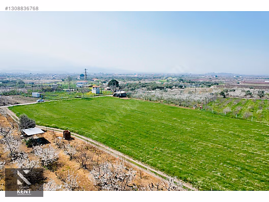 Kemalpaşa Ören 75. Yıl Satılık 8770 m2 Tek Tapu Tarla - İZMİR KEMALPAŞA fotoğraf 2