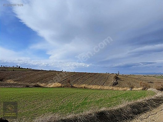 SAMSUN HAVZA KOCAPINAR'DA 4.754 M2 UYGUN ARSA - SAMSUN HAVZA fotoğraf 4