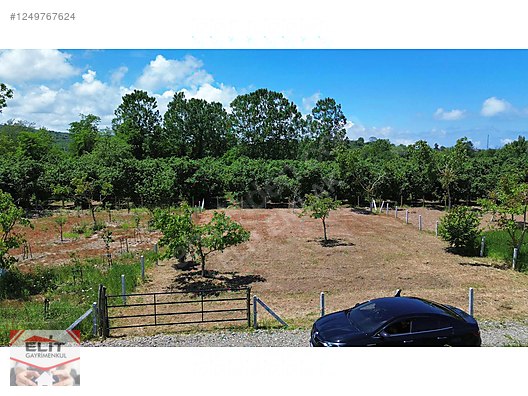 KARASU KUYUMCULUDA SATILIK 463 M2 FIRSAT ARSA - SAKARYA KARASU fotoğraf 3